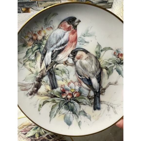 Four Gloria Porcelain Bayreuth Germany Decorative Bird Plates 24k Gold Rim - Picture 7 of 10